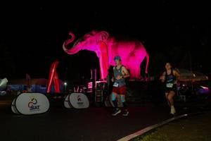 BIB: 
                            <button type="button" onclick="openModal(26543203)" class="btn btn-primary btn-sm float-right btn-popup" data-toggle="modal" data-target=".modal-high-quality">
                        <i class="fas fa-shopping-cart"></i> Add to Cart
                    </button>
                                            <button type="button" onclick="isThisMe(26543203, true)" class="btn btn-success btn-sm float-right btn-popup btn-isme hidden" data-toggle="tooltip" data-placement="bottom" title="นี่คือรูปของคุณใช่ไหม คลิกที่นี่เพื่อเอาเข้าอัลบั้ม">
                        <i class="fas fa-plus"></i> Add to album
                    </button>
                    <button type="button" onclick="isThisMe(26543203, false)" class="btn btn-warning btn-sm float-right btn-popup btn-isnotme hidden">
                        <i class="fas fa-ban"></i> Remove from album
                    </button>